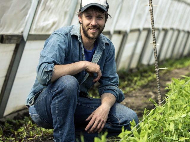 A man kneeling in a greenhouse