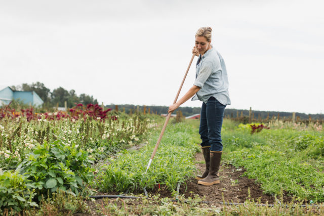 Erin Benzakein weeding with a collinear hoe