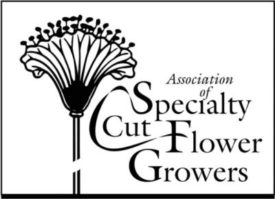 Association of Specialty Cut Flower Growers