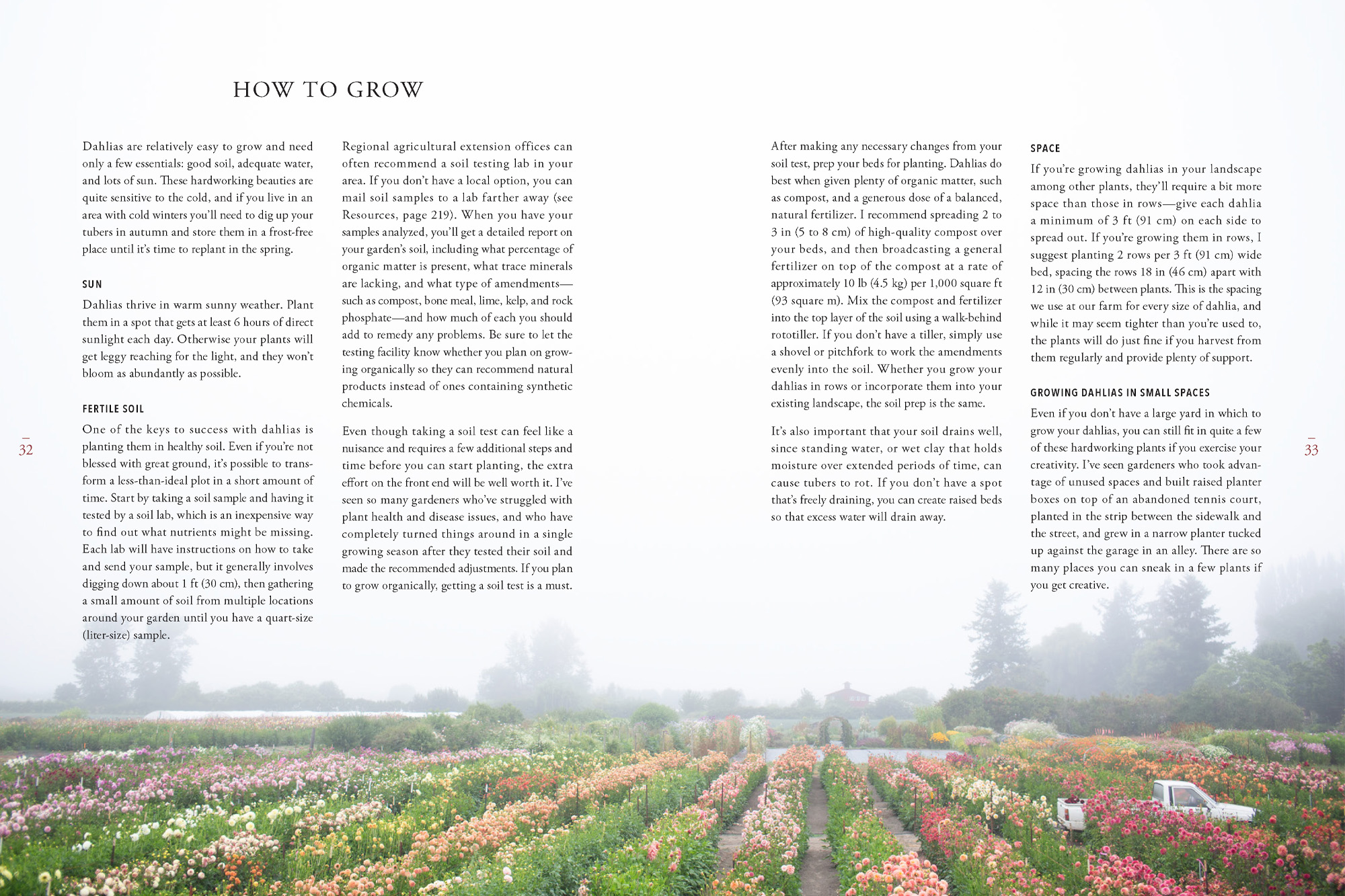 A page from Floret Farm's Discovering Dahlias