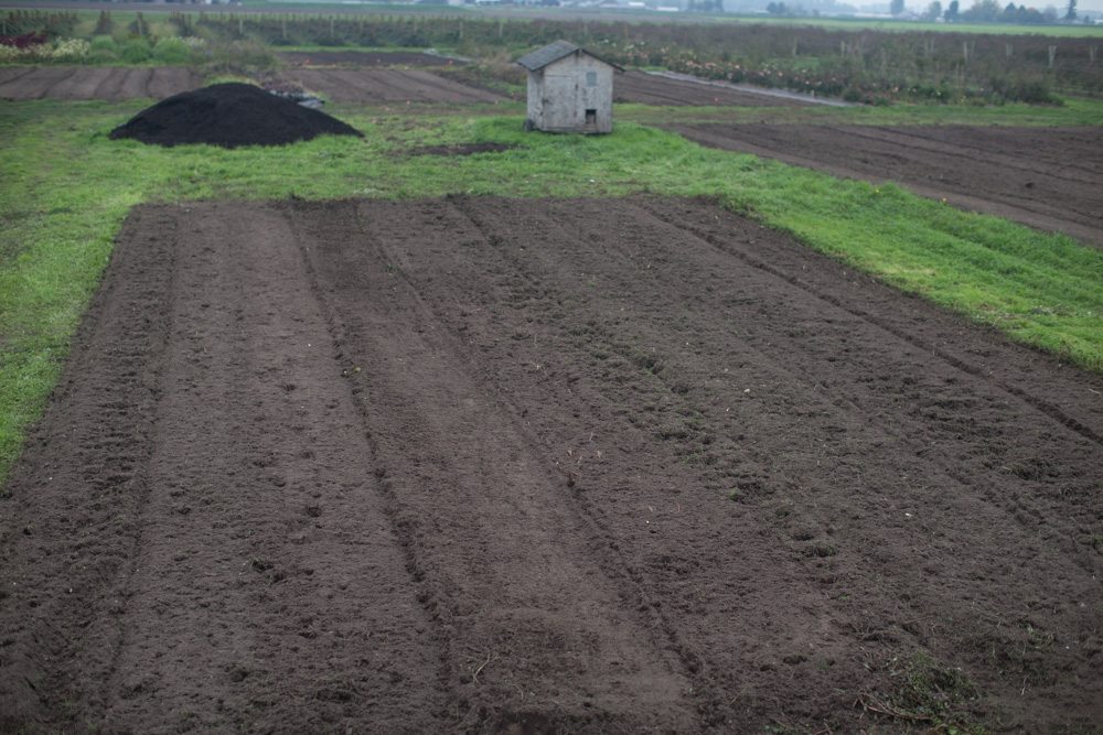 soil preparation at Floret flower farm