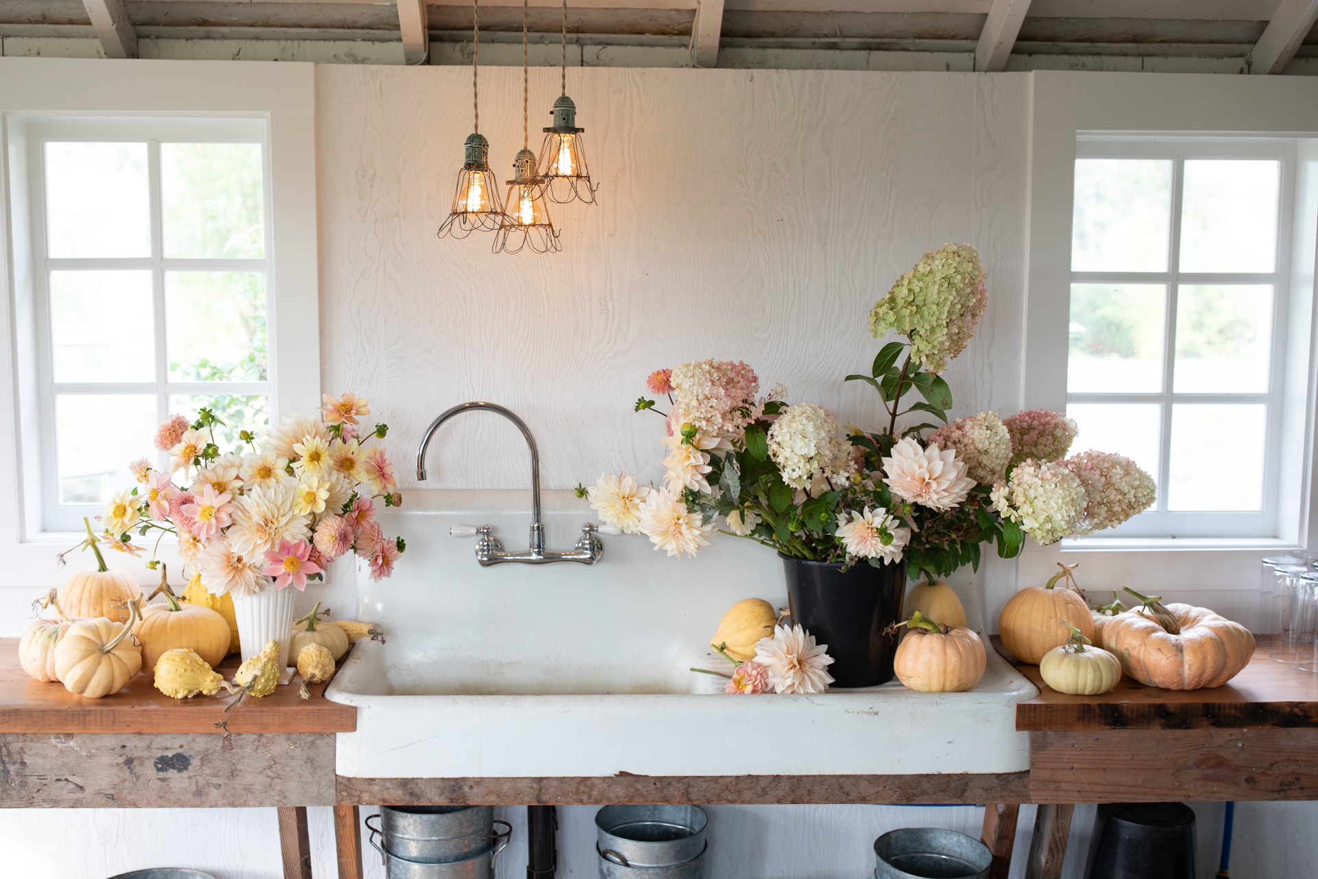 Flowers and heirloom pumpkins in the Floret studio